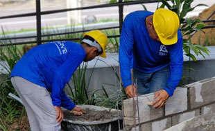 reformasd